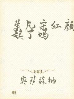 叶凡宋红颜在一起了吗