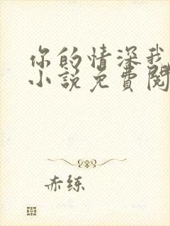 你的情深我不配小说免费阅读