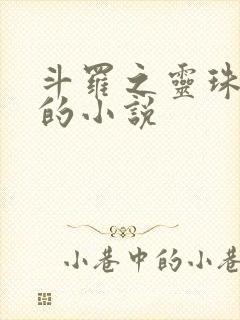 斗罗之灵珠神剑的小说