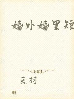 婚外婚里短剧