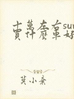 十万左右suv买什么车好油车