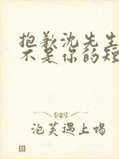 抱歉沈先生孩子不是你的短剧免费在线观看