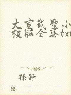 大宣武圣小说精校版全集txt