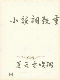 小说调教重口