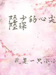 陆少的心尖宠妻陆琛