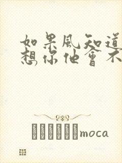 如果风知道我在想你他会不会笑我是什么歌