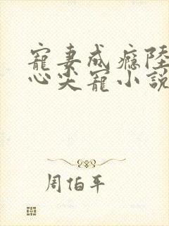 宠妻成瘾陆少的心尖宠小说