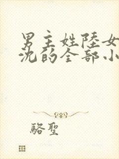 男主姓陆女主姓沈的全部小说