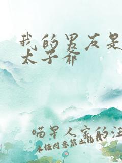 我的男友是京圈太子爷