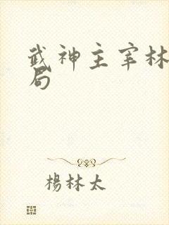 武神主宰林天结局