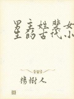 男主姓裴女主重生的古代小说