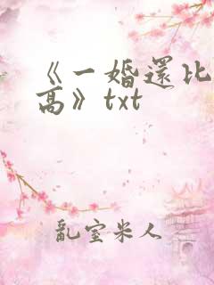 《一婚还比一婚高》txt
