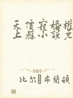 天价宠婚权少赖上瘾小说免费阅读