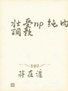 壮受np 纯肉调教