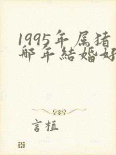 1995年属猪哪年结婚好