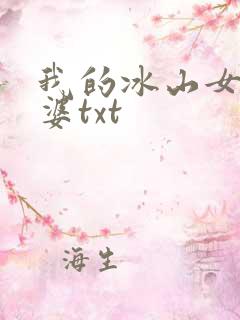 我的冰山女神老婆txt