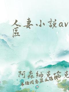 人妻小说av一区