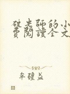 破光师的小说免费阅读全文