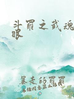 斗罗之武魂写轮眼