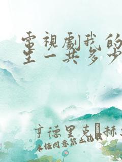 电视剧我的后半生一共多少集