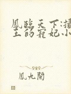 凤临天下:摄政王的宠妃小说小说