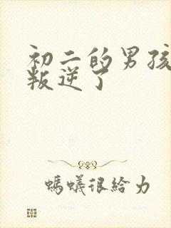 初二的男孩子太叛逆了