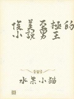 俊美至极的玄幻小说男主