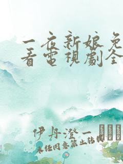 一夜新娘免费观看电视剧全集