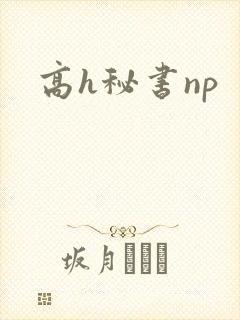 高h秘书np