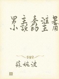 男主秦淮是哪部小说的主角