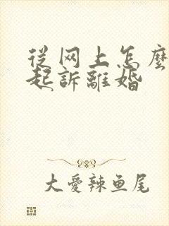 从网上怎么可以起诉离婚