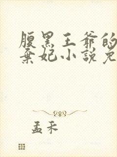 腹黑王爷的绝色弃妃小说免费阅读