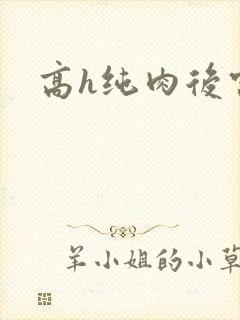 高h纯肉后宫