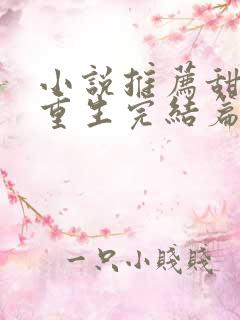 小说推荐甜宠文重生完结篇现言