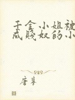 千金小姐被调教成贱奴的小说阅读
