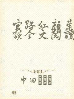 官路红颜叶鸣小说全文阅读