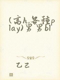 (高h,各种play)男男bl