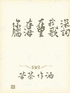 你存在我深深的脑海里歌词