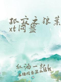 孤寂之狼叶凡txt网盘