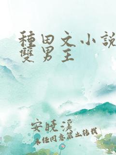 种田文小说推荐双男主