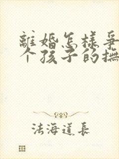 离婚怎样争取两个孩子的抚养权