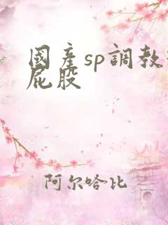 国产sp调教打屁股