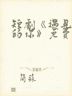 短剧《遇见正确的你》免费观看