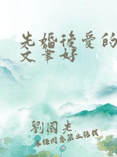 先婚后爱的小说文笔好