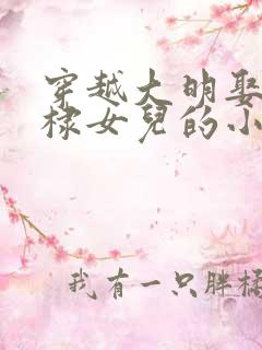 穿越大明娶了朱棣女儿的小说