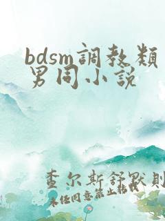 bdsm调教类男同小说