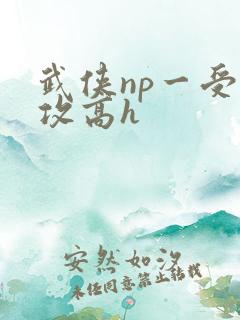 武侠np一受多攻高h