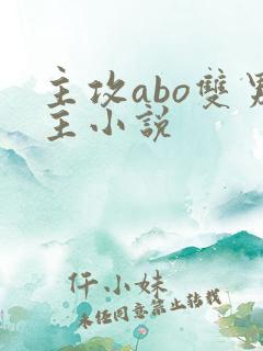 主攻abo双男主小说