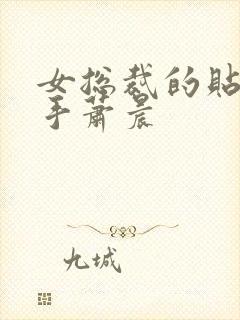 女总裁的贴身高手萧晨