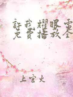 许我耀眼电视剧免费播放全集